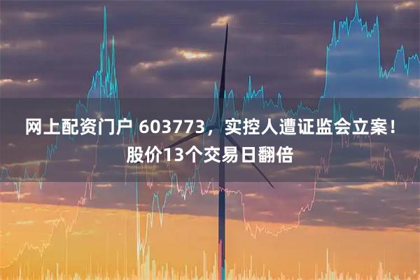 网上配资门户 603773,实控人遭证监会立案!股价13个交易日翻倍